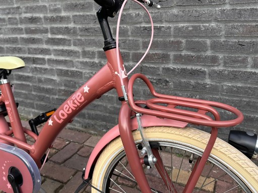 20 inch Loekie Prinses Bruin/Roze - Loekie_Prinses_20_Bruin_roze_02.jpg 20 inch Loekie Prinses Bruin/Roze - Loekie_Prinses_20_Bruin_roze_02.jpg