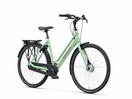 Batavus Fonk D48 en D57 3v Groen mat  - Batavus Fonk 3 Groen mat_02.jpg