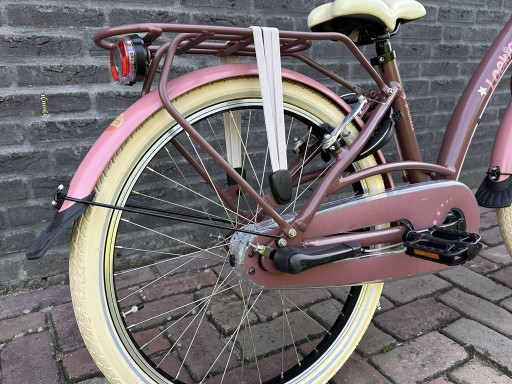 22 inch Loekie Prinses 3v Bruin/Roze - Loekie_Prinses_22_Bruin_roze_02.jpg